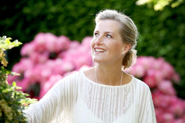 Sebelum menjadi anggota keluarga kerajaan Inggris, Sophie adalah wanita dari keluarga biasa. Namun kariernya cukup cemerlang saat menjadi public relations. Foto: AFP