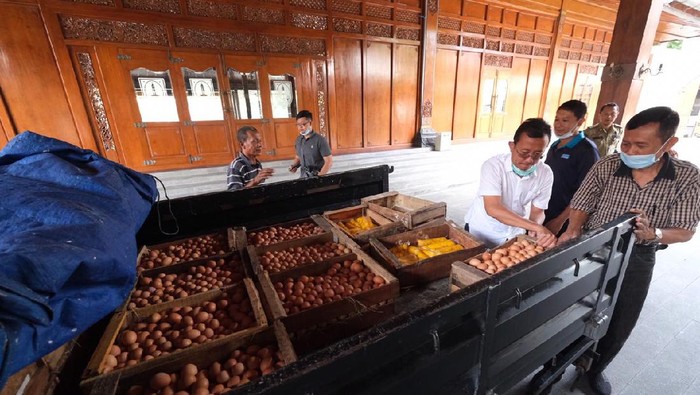 Peternak bagi-bagi 2.000 telur ayam untuk warga terdampak corona di Solo