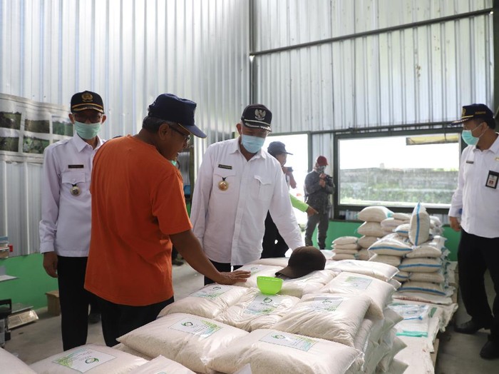 Bupati Sleman, Sri Purnomo saat panen raya beras di Sleman, Rabu (1/4/2020).