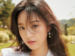 Profil Kim Ji Won, Sang Ratu Iklan