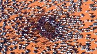 Lautan mobil dan orang-orang mengelilingi unta di Festival Unta Raja Abdulaziz, Arab Saudi. Festival yang berlangsung sebulan penuh ini terdapat balapan dan kontes unta dengan hadiah uang USD 31,8 juta (Faisal Al-Nasser/AFP/Getty Images/CNN)