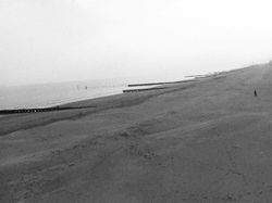 Melihat Sepinya Italia Bak Kota Mati Pasca Lockdown dari CCTV