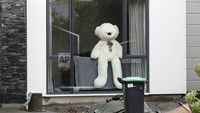 Warga Selandia Baru ini membuat gerakan di mana orang-orang menempatkan boneka beruang di jendela rumahnya masing-masing.