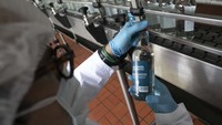 Seorang pekerja memeriksa botol-botol alkohol antiseptik yang telah di produksinya.