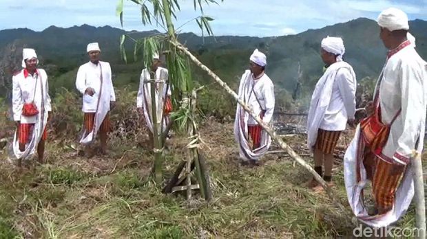 Warga Mamasa Sulbar Gelar Ritual Ma'rompo Bamba Tangkal Corona
