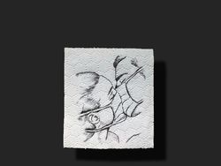 Kreatif! Tisu Toilet Jadi Karya Seni Untuk Bantu Korban Corona