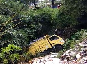 Truk Pengangkut Pakan Ayam Nyungsep ke Jurang