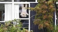 Boneka beruang berukuran jumbo duduk bergelantungan di jendela sebuah rumah di Christchurch, Selandia Baru.  