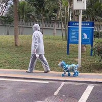 Karena anjing adalah sahabat terbaik manusia, maka mereka juga perlu mendapat perlindungan maksimal. (Foto: Dok. Boredpanda)