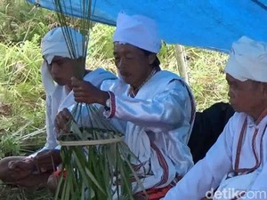 Warga Mamasa Sulbar Gelar Ritual Marompo Bamba Tangkal Corona