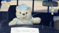 Potret Rufus yang berada di dalam mobil. Lucu dan menggemaskan yah?