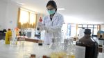 Wow! Arak Bali Diklaim Efektif Sembuhkan OTG Corona
