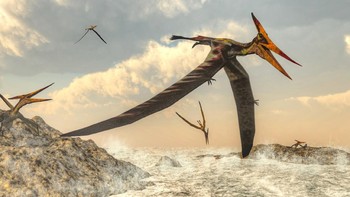 Pteranodon adalah genus dari Pterosaurus, jenis dari dinosaurus yang bisa terbang. Spesies terbesarnya adalah Pteranodon longiceps dengan rentang sayap lebih dari 6 meter. Mereka hidup di akhir Zaman Kapur di wilayah Amerika Utara. Pteranodon juga menjadi populer karena film Jurassic World. Menurut ilmuwan, dinosaurus ini adalah pemakan ikan. Foto: Getty Images/iStockphoto/Elenarts