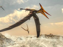 10 Dinosaurus Paling Terkenal Karena Film Hollywood