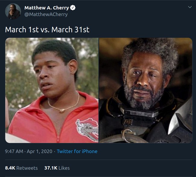 Sebuah thread mengumpulkan sejumlah meme kocak bertema bulan Maret 2020 atau sebulan karantina karena virus Corona. Meme yang dimulai oleh sineas Matthew A. Cherry tersebut seolah memperlihatkan perbedaan orang di tanggal 1 dan 31 Maret karena social distancing untuk mencegah Covid-19. Foto: Twitter