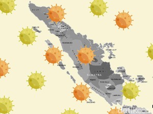 Update Corona di Riau 2 Juli: 188 Pasien Sembuh, 30 Masih Dirawat