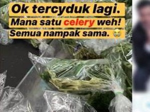 Begini Bingungnya Kaum Pria Saat Belanja Bumbu dan Sayuran di Masa Lockdown