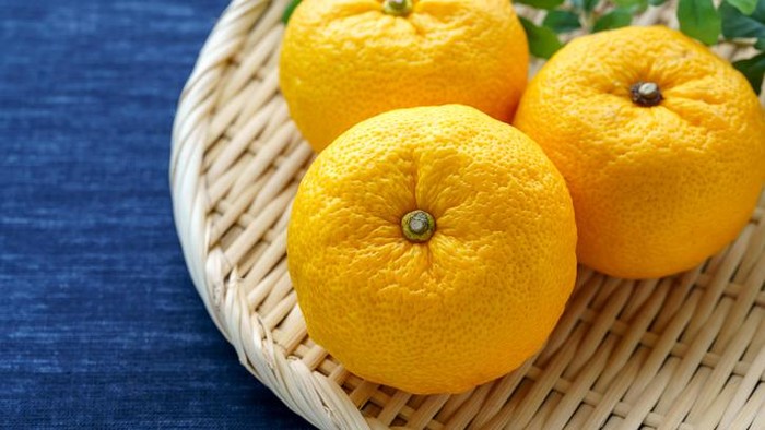 Japanese citron Yuzu fruits isolated on light background