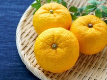 Bukan Cuma Matcha, 4 Superfood Jepang Ini Bermanfaat untuk Imunitas