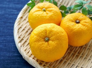 Bukan Cuma Matcha, 4 Superfood Jepang Ini Bermanfaat untuk Imunitas