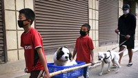 Anak-anak membawa anjing mereka yang sakit di tandu darurat dan berjalan pulang setelah mengunjungi dokter hewan, saat dikarantina di Kohima, negara bagian Nagaland, India timur laut, Rabu (25/3/2020). Orang India berjuang untuk mematuhi lockdown guna memotong rantai penyebaran virus Corona yang terbesar di dunia pada hari Rabu ketika pemerintah memulai tugas raksasa menjaga 1,3 miliar orang di dalam ruangan. AP Photo/Yirmiyan Arthur.