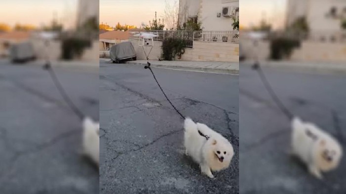 Drone Untuk Anjing Jalan-jalan saat wabah corona