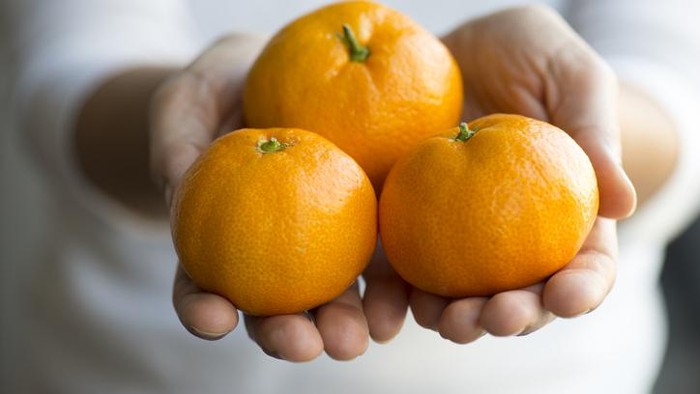 Jeruk Mandarin