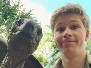 Isolasi Diri ala Anak Steve Irwin, Tinggal di Kebun Binatang