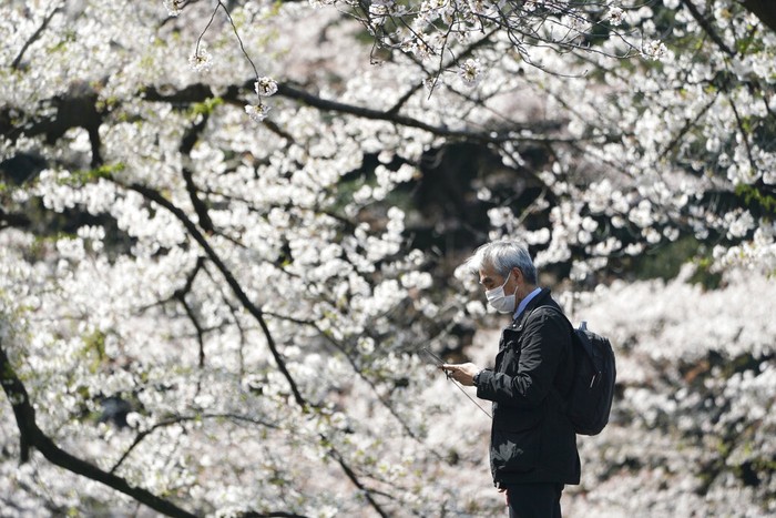Jepang Tutup Pintu Rapat-rapat untuk Traveler Jepang kian membatasi turis asing setelah kasus virus Corona meningkat. Negeri sakura itu melarang turis dari 33 negara termasuk dari Indonesia.