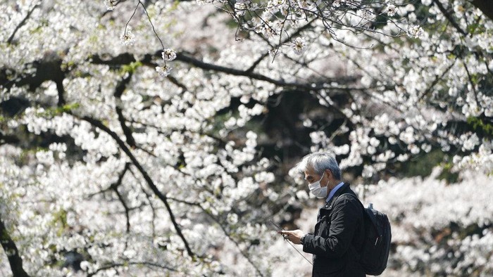 Jepang kian membatasi turis asing setelah kasus virus Corona meningkat. Negeri sakura itu melarang turis dari 33 negara termasuk dari Indonesia.