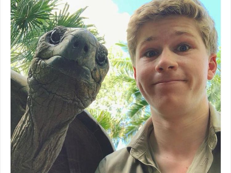 10 Aksi Kebaikan Orang yang Memberi Makan Hewan Liar Selama Lockdown