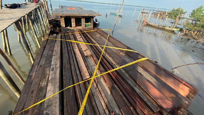 Kapal pembawa kayu ilegal di Riau (dok. Istimewa)
