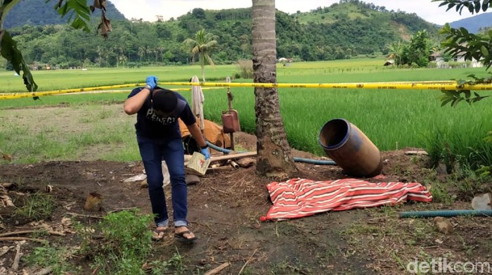 Mayat perempuan ditemukan tergeletak di pinggir sawah warga