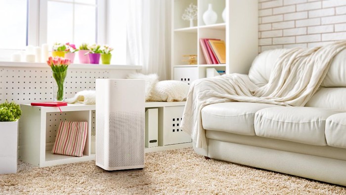 Mi Air Purifier 2H