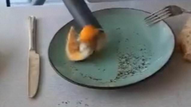Masak Telur