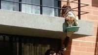  Tak hanya berbagi kepada manusia saja, banyak orang yang memberikan hewan makanan agar mereka tidak kelaparan. Foto: Istimewa