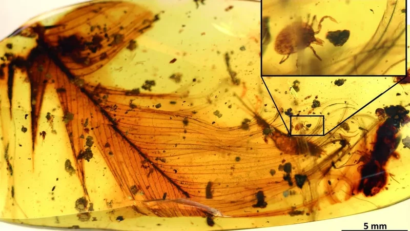 Ambar adalah resin pepohonan yang lengket dan kadang membuat hewan-hewan terperangkap di dalamnya. Berikut ini di antaranya.