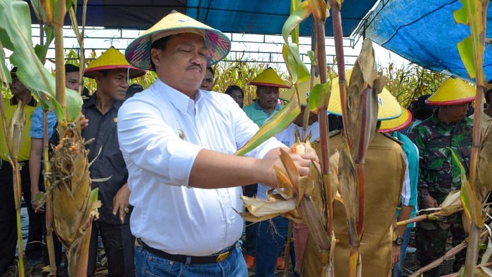 Bupati Morowali Utara Aptripel Tumimomor