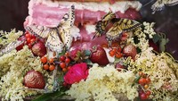 Cantik sekali kue satu ini dipenuhi dengan bunga cantik, buah stroberi segar, hingga kupu-kupu berwarna kuning. Jika kamu berpikir itu kupu-kupu sungguhan, kamu salah. Kupu-kupu tersebut dapat dimakan lho! The Wondersmith membuatnya dari kertas wafer yang dilukis dengan teh saffron. Foto: Instagram @thewondersmith