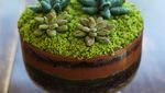10 Kreasi Makanan Bertema Alam Ini Terlihat Menawan!