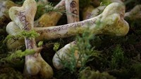 The Wondersmith juga berhasil membuat makanan tema alam dengan bentuk tulang. Makanan yang ia buat tersebut adalah permen. Jadi jangan terkecoh ya karena tulang-tulang tersebut bisa dimakan. Bahkan rasanya sirup maple lho! Foto: Instagram @thewondersmith