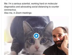 Kumpulan Background Zoom yang Konyol