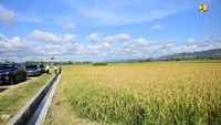Dengan percepatan realisasi program PKT ini diharapkan dapat mempertahankan daya beli masyarakat di tengah ketidakpastian kondisi ekonomi global akibat Pandemi COVID-19 yang terjadi sekarang. Hal ini juga sesuai dengan arahan Presiden Joko Widodo untuk mengalihkan anggaran guna mempertahankan daya beli masyarakat terutama rakyat kecil yang disampaikan saat video konferensi Rapat Terbatas dari Istana Merdeka beberapa saat lalu.Foto: Dok. Istimewa/Kementerian PUPR