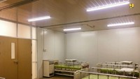 Adapun sebanyak 340 tempat tidur fasilitas observasi akan diprioritaskan terlebih dahulu untuk orang Dalam Pengawasan (ODP) sebanyak 240 tempat tidur dan 100 tempat tidur untuk Pasien Dalam Pengawasan (PDP). Sisanya 640 tempat tidur akan dilaksanakan pembangunan fasilitasnya pada tahap II.  Foto: Dok. Istimewa/Kementerian PUPR: Penampakan RS Corona di Pulau Galang