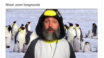 Meeting bersama penguin. Foto: Internet