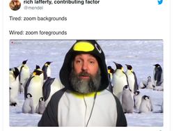 Kumpulan Background Zoom yang Konyol