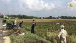 Padat Karya Digenjot demi Jaga Daya Beli