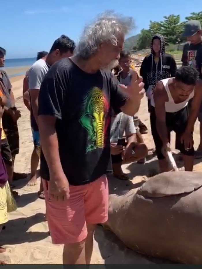 Bupati Tolitoli Saleh Bantilan meninjau ikan duyung yang ditemukan mati di Pantai Lalos.
