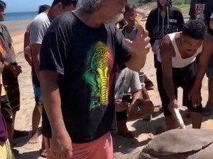 Bupati Tolitoli Perintahkan Cari dan Tangkap Nelayan yang Pakai Pukat