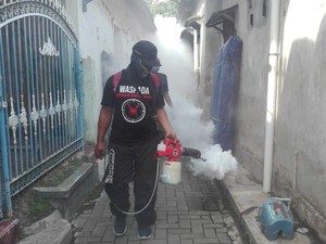 Pandemi Corona, Relawan Ingatkan Warga Pacitan Tak Lengah Demam Berdarah